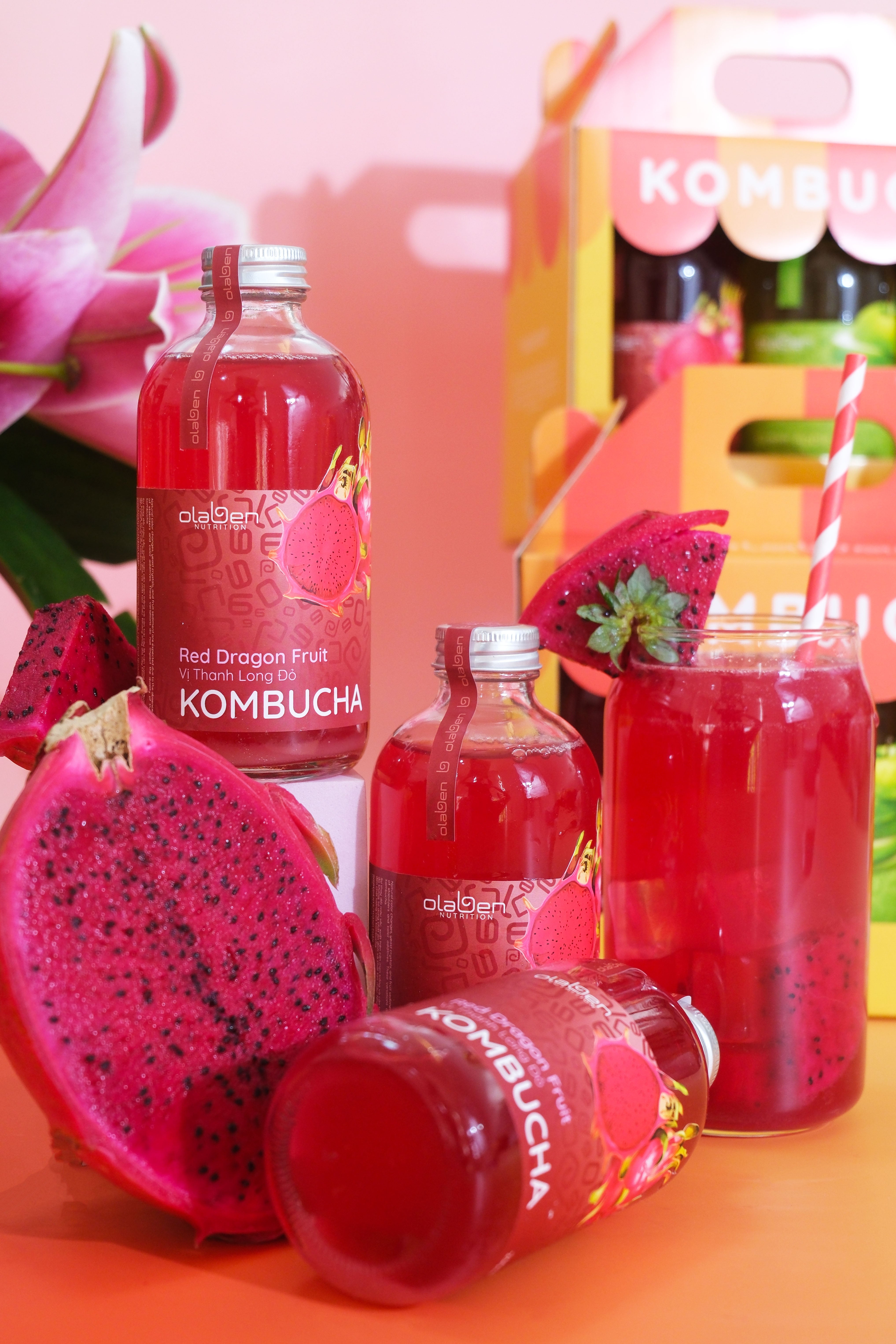 Set of 6 Red Dragon Fruit Kombucha (Shipping available only in HCMC)