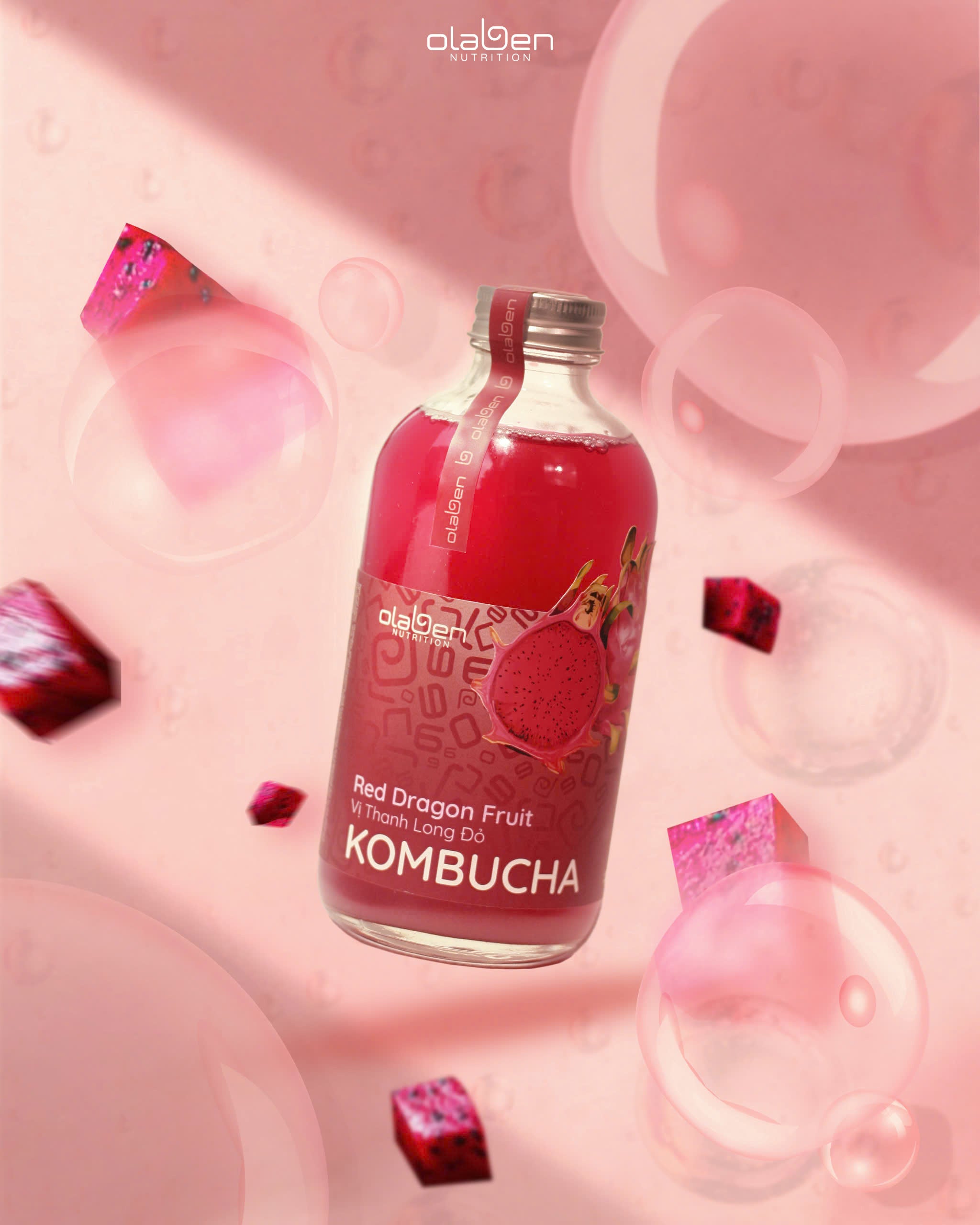 Set of 6 Red Dragon Fruit Kombucha (Shipping available only in HCMC)