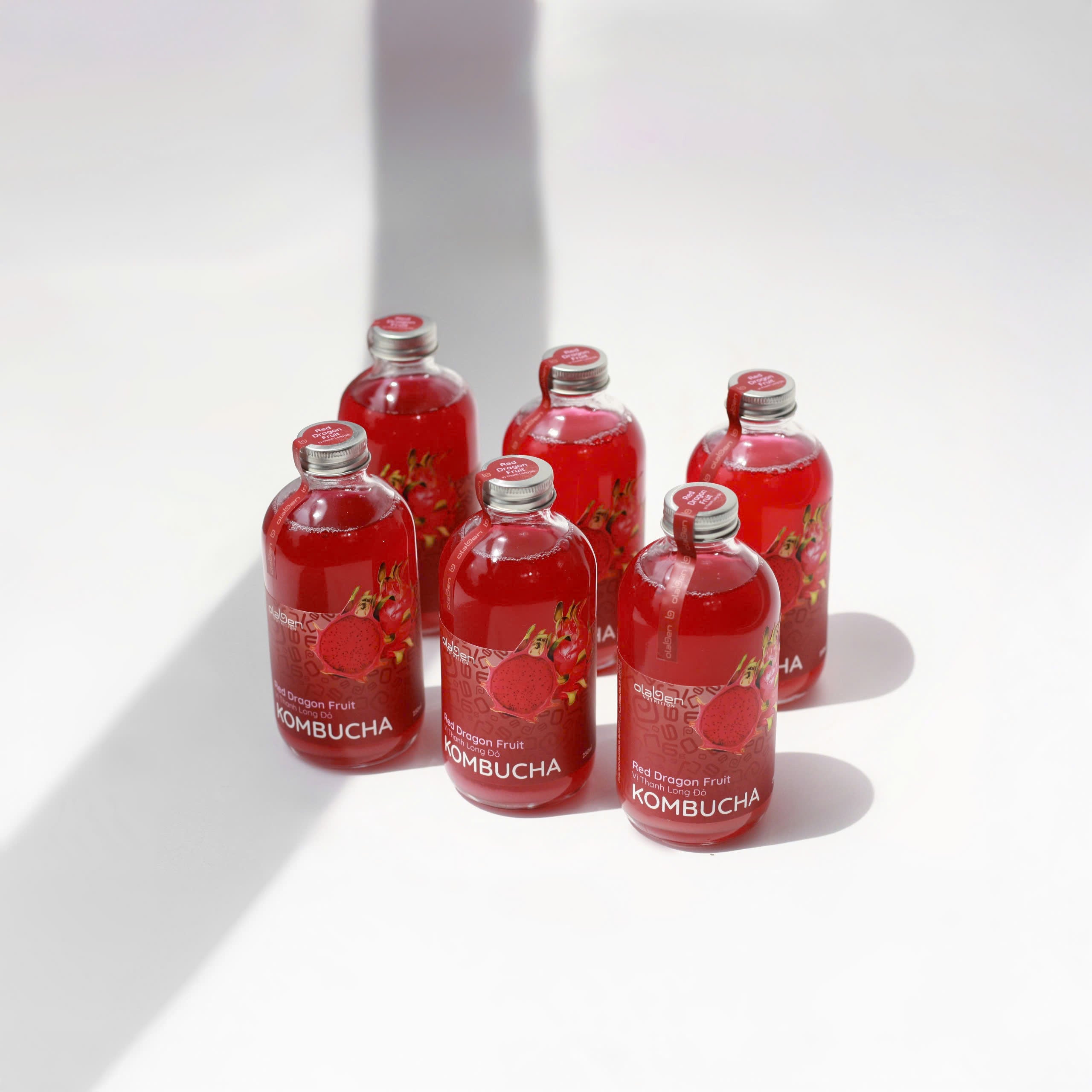 Set of 6 Red Dragon Fruit Kombucha (Shipping available only in HCMC)