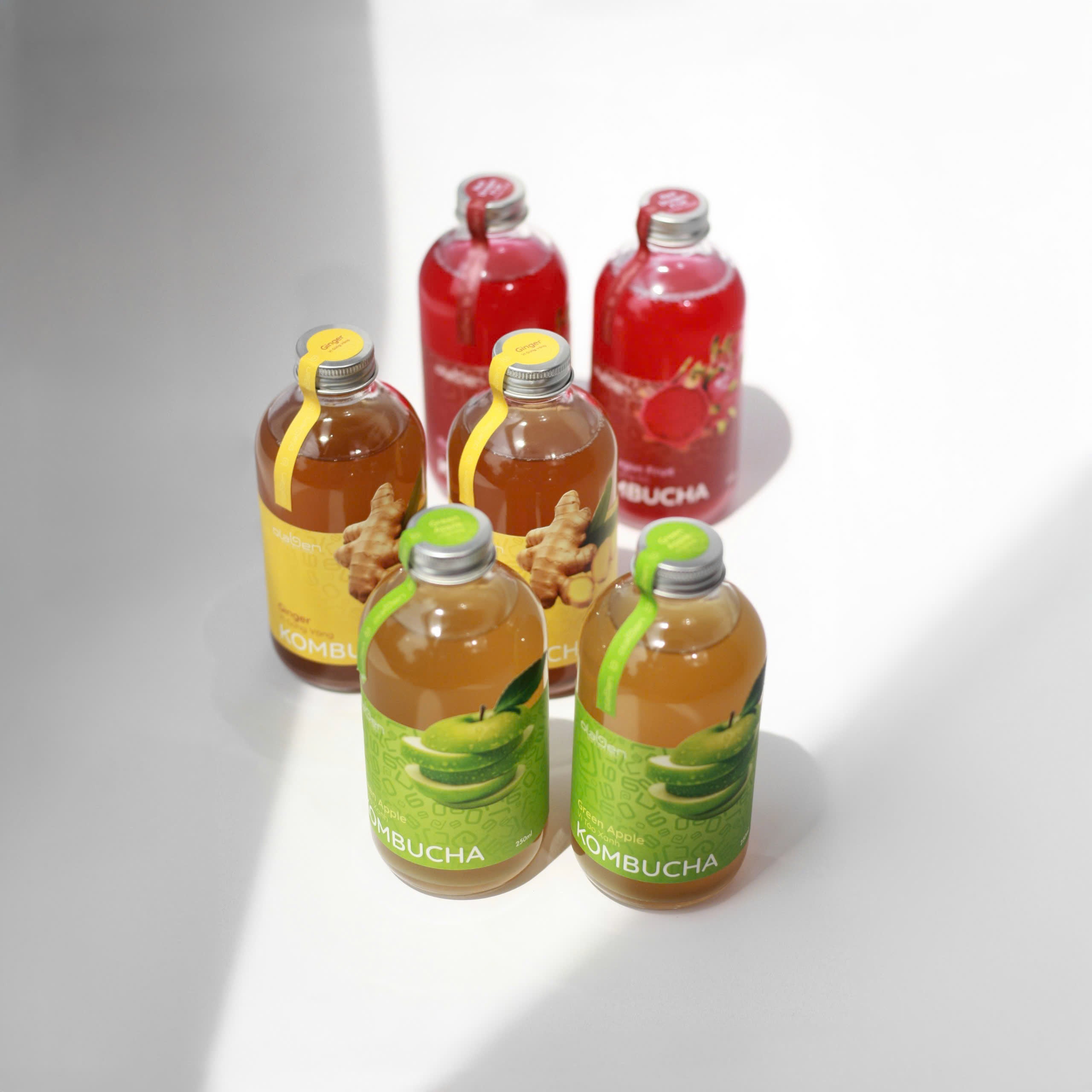 Set of 3 Mixed Kombucha Flavors (Shipping available only in HCMC)