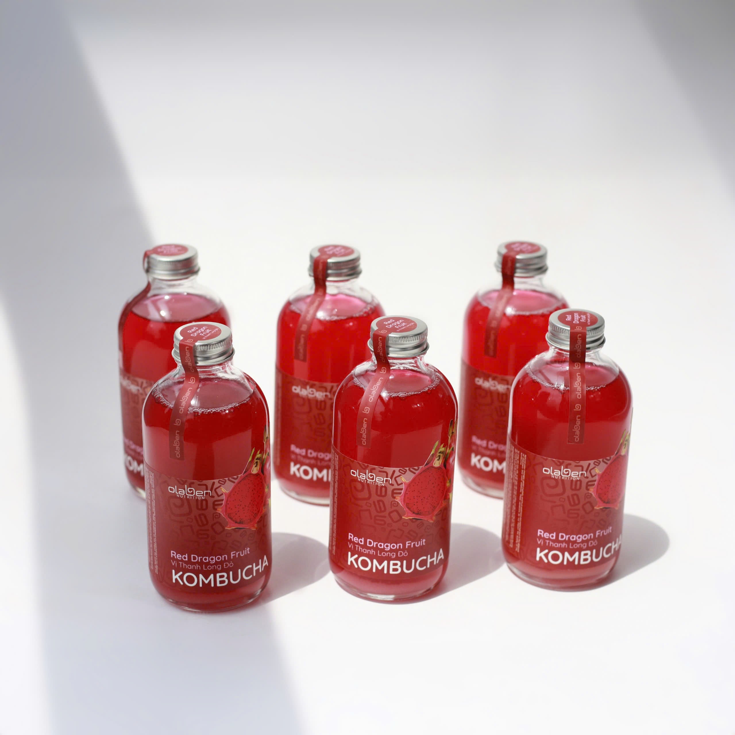 Set of 6 Red Dragon Fruit Kombucha (Shipping available only in HCMC)