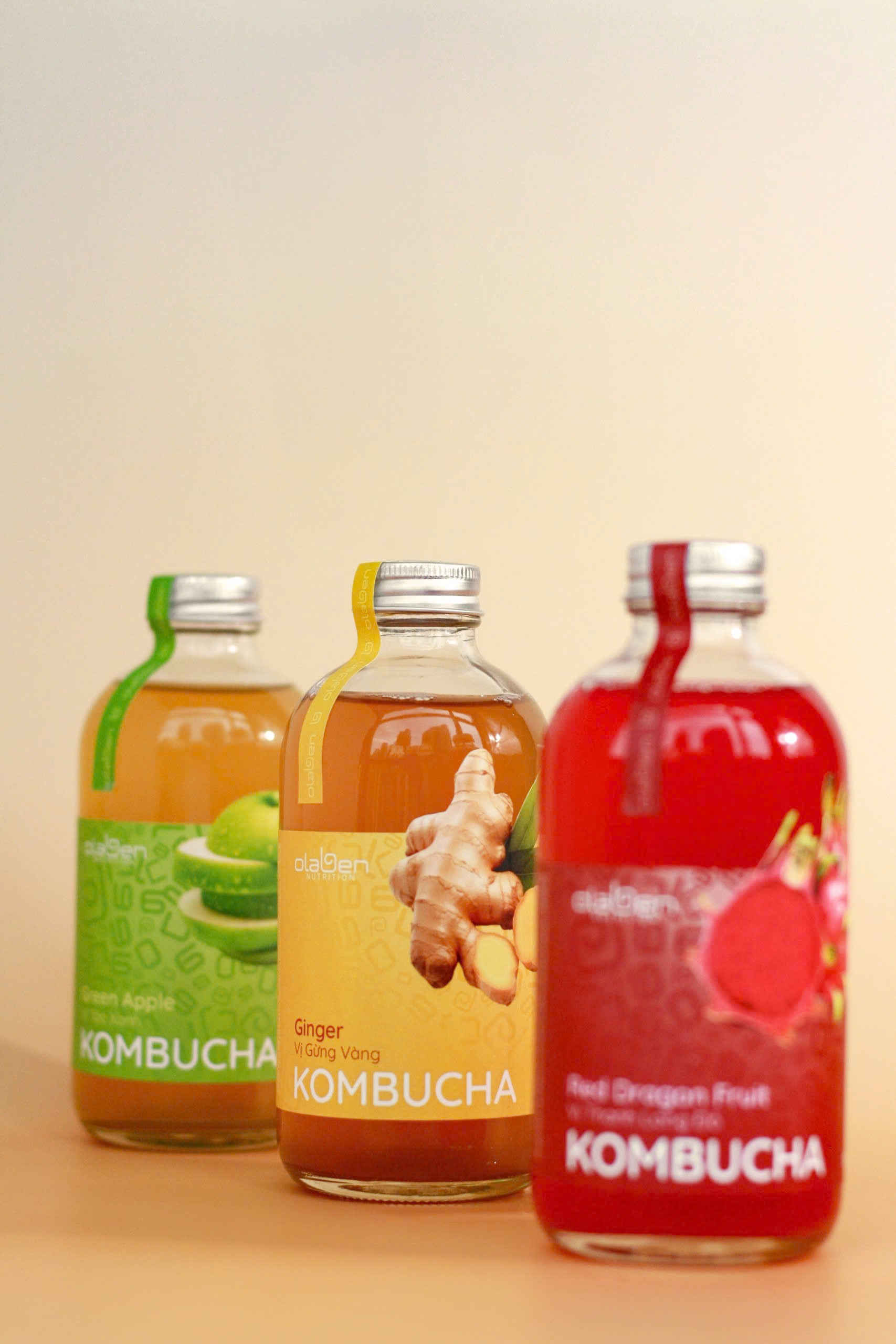 Set of 3 Mixed Kombucha Flavors (Shipping available only in HCMC)