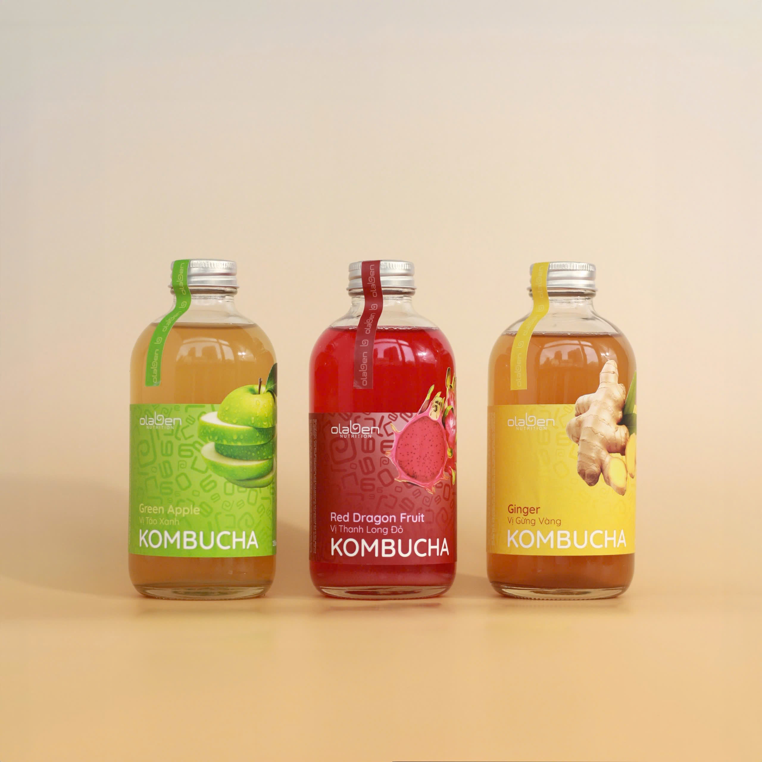 Set of 3 Mixed Kombucha Flavors (Shipping available only in HCMC)