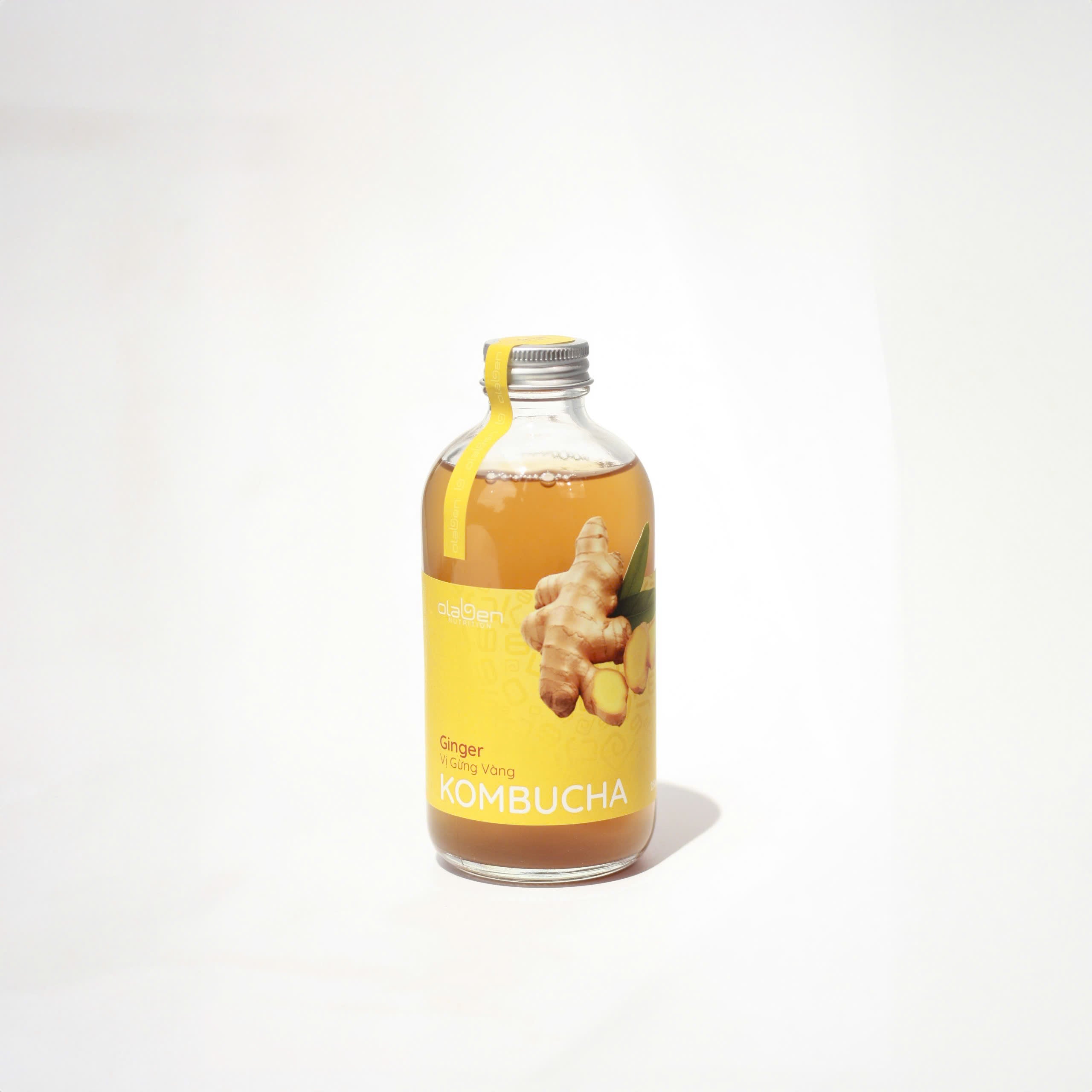 Set of 6 Ginger Kombucha (Shipping available only in HCMC)