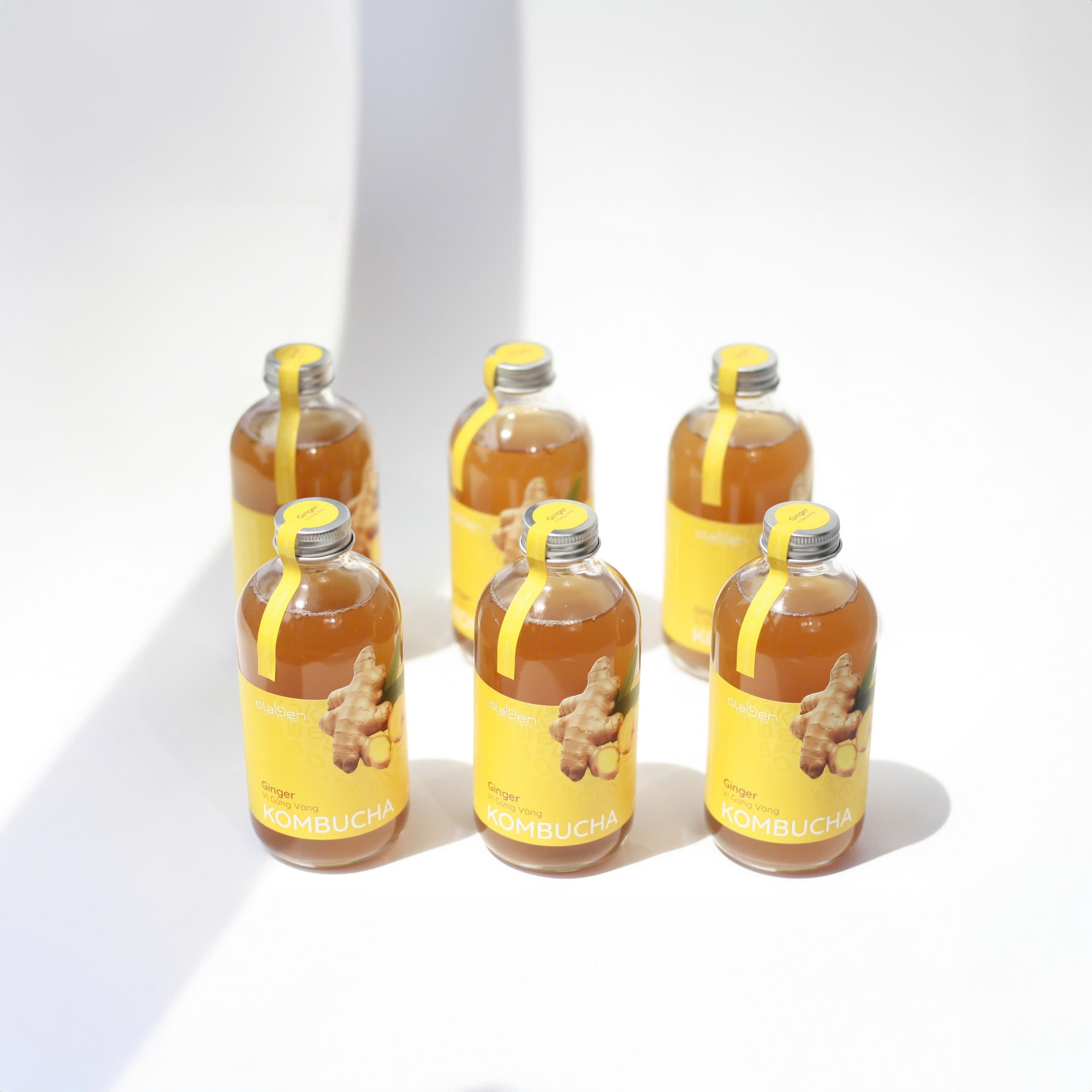 Set of 6 Ginger Kombucha (Shipping available only in HCMC)