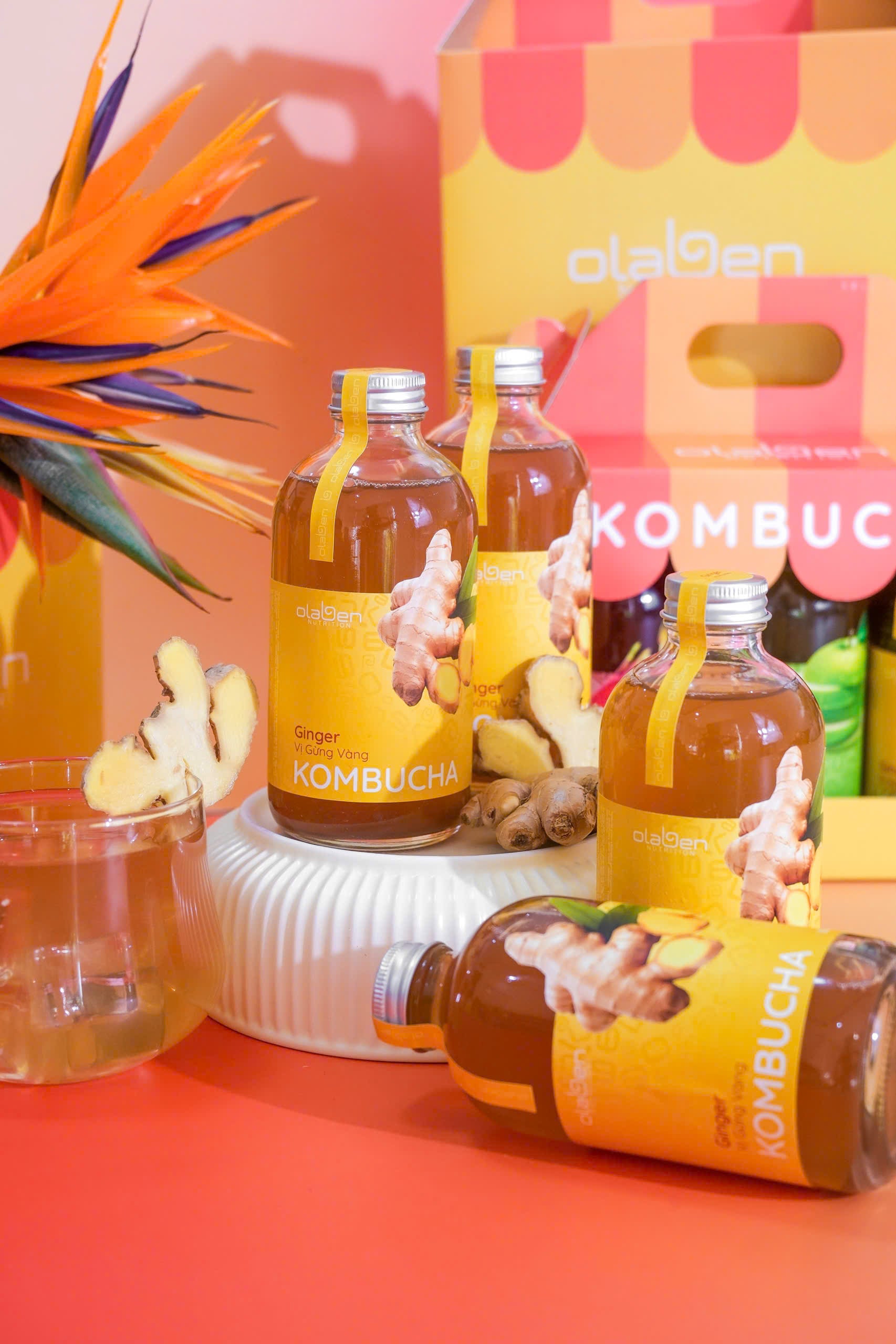 Set of 6 Ginger Kombucha (Shipping available only in HCMC)