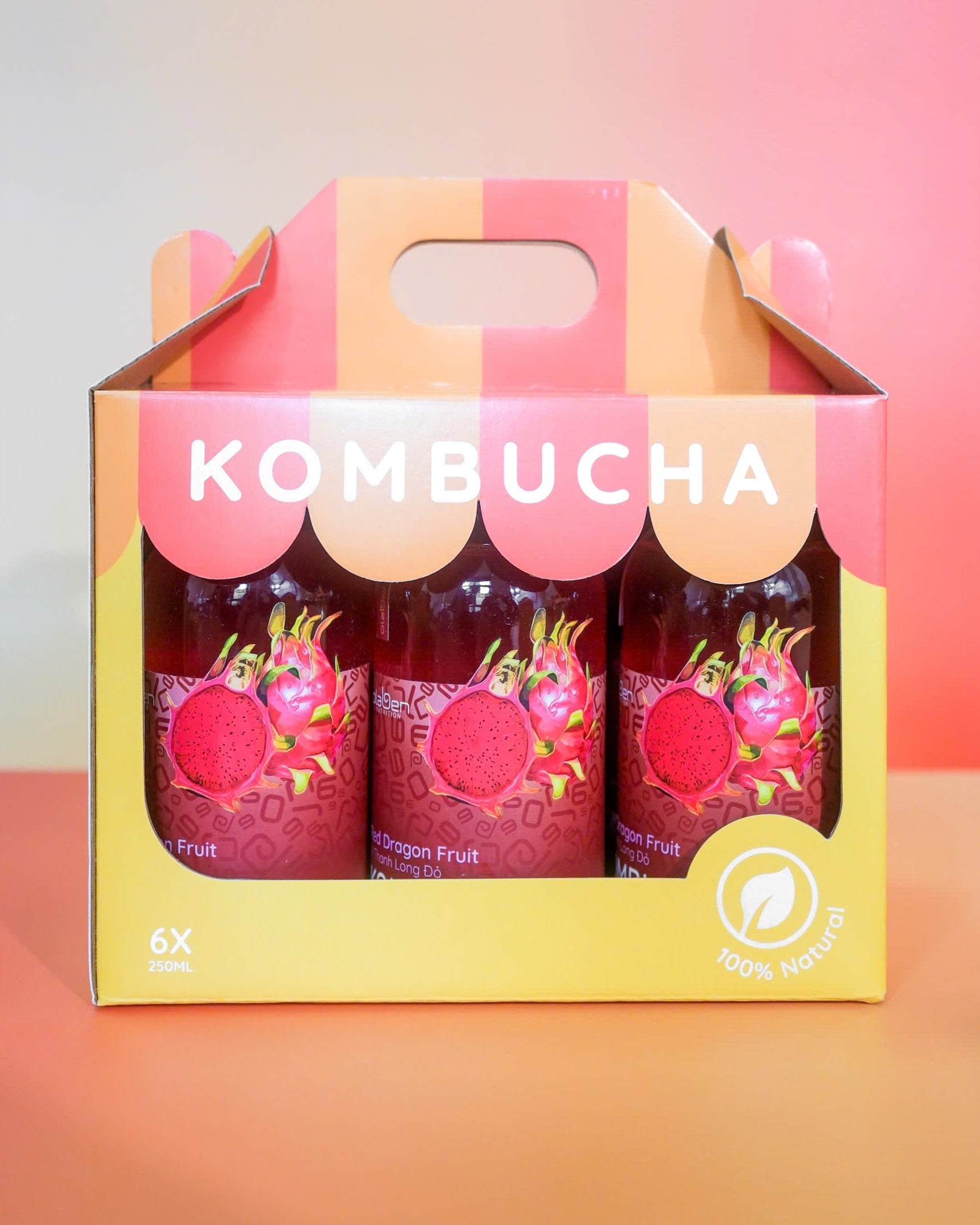 Set of 6 Red Dragon Fruit Kombucha (Shipping available only in HCMC)