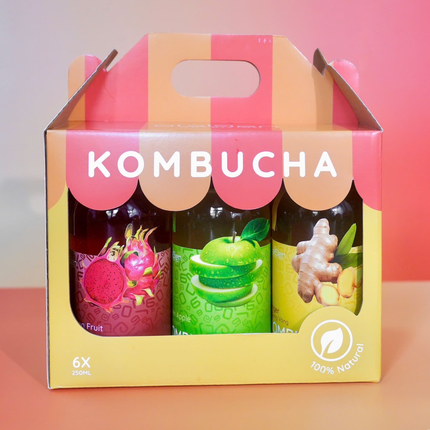 Set of 3 Mixed Kombucha Flavors (Shipping available only in HCMC)