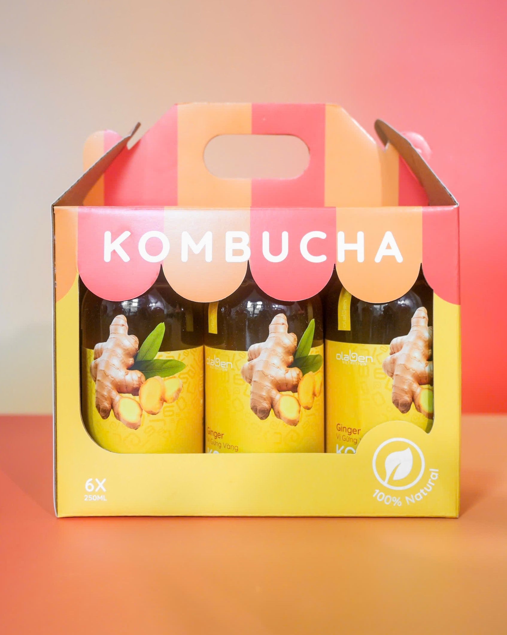 Set of 6 Ginger Kombucha (Shipping available only in HCMC)